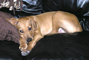 Presley_4_months.JPG